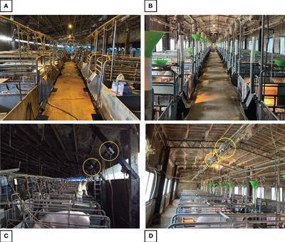 Monitoring the lactation-related behaviors of sows and their piglets in farrowing crates using deep learning
